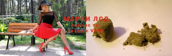 гидра Новозыбков