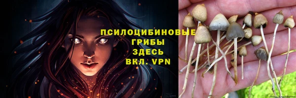 метадон Нея