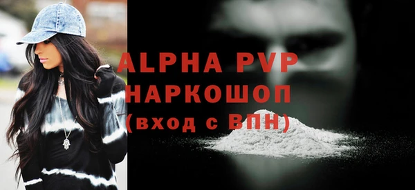 гидра Новозыбков
