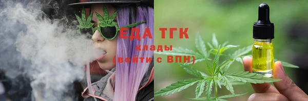 гидра Новозыбков