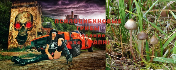 мяу мяу кристалл Новокубанск