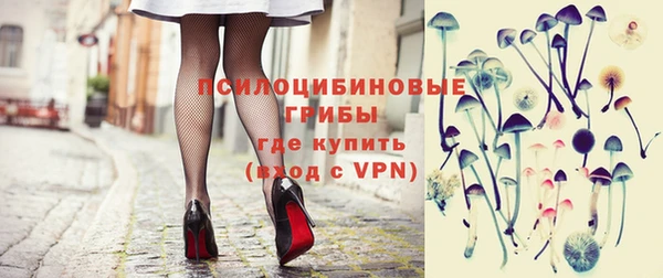 гидра Новозыбков