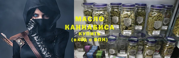 гидра Новозыбков