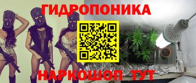 ECSTASY Гусев
