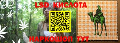 ECSTASY Гусев