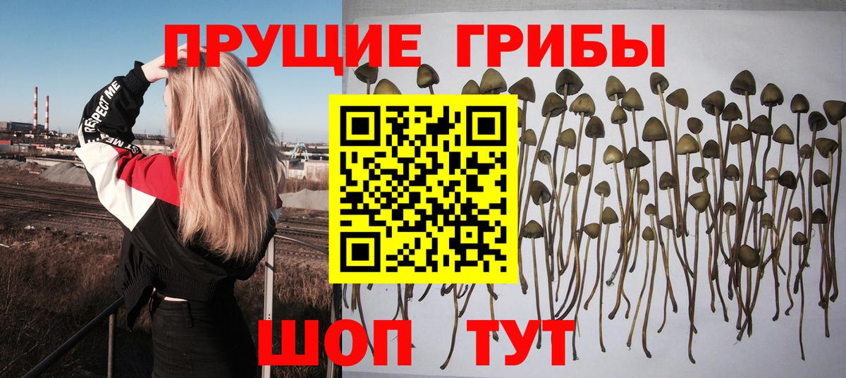 Галлюциногенные грибы ЛСД Лысьва