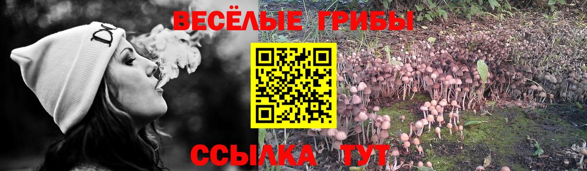 Псилоцибиновые грибы прущие грибы  Вход с VPN  Лысьва 